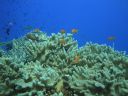DSC00946.JPG