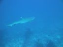 DSC00952.JPG