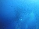 DSC00954.JPG