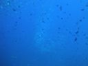 DSC00961.JPG
