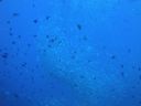 DSC00962.JPG