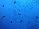 DSC00963.JPG