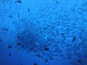 DSC00965.JPG