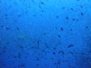 DSC00967.JPG