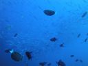 DSC00969.JPG