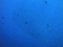 DSC00976.JPG