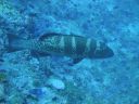 DSC00978.JPG