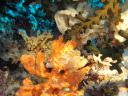 DSC00979.JPG