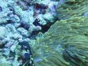 DSC00983.JPG