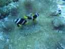 DSC00986.JPG