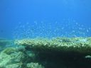 DSC00989.JPG