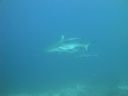 DSC00999.JPG