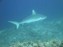 DSC01005.JPG