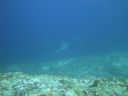 DSC01009.JPG