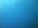 DSC01013.JPG