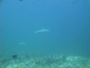 DSC01018.JPG