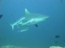 DSC01025.JPG