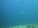 DSC01040.JPG