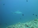 DSC01042.JPG