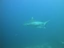 DSC01045.JPG