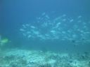 DSC01053.JPG