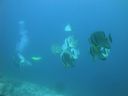 DSC01054.JPG