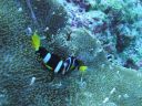 DSC01055.JPG