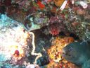 DSC01056.JPG