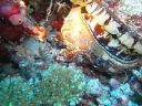 DSC01058.JPG