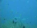 DSC01064.JPG