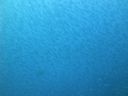 DSC01066.JPG