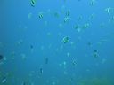 DSC01068.JPG