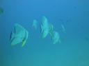 DSC01072.JPG