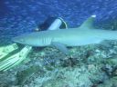 DSC01080.JPG