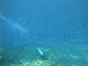 DSC01087.JPG