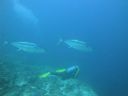 DSC01090.JPG