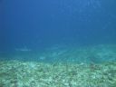 DSC01092.JPG