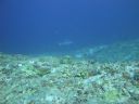 DSC01094.JPG