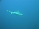 DSC01100.JPG