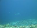 DSC01103.JPG
