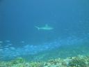 DSC01105.JPG
