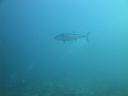DSC01106.JPG