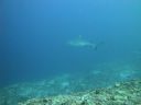 DSC01114.JPG