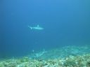 DSC01119.JPG