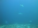 DSC01125.JPG