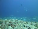 DSC01128.JPG