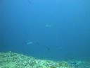 DSC01137.JPG