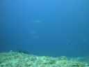 DSC01138.JPG
