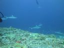 DSC01143.JPG