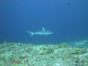 DSC01147.JPG